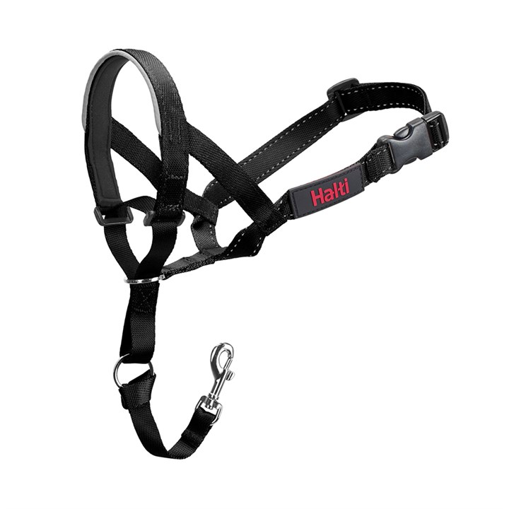 Halti Dog Headcollar