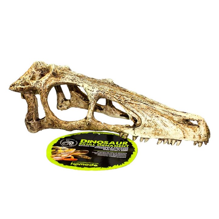 Komodo Reptile Raptor Skull Decoration Large