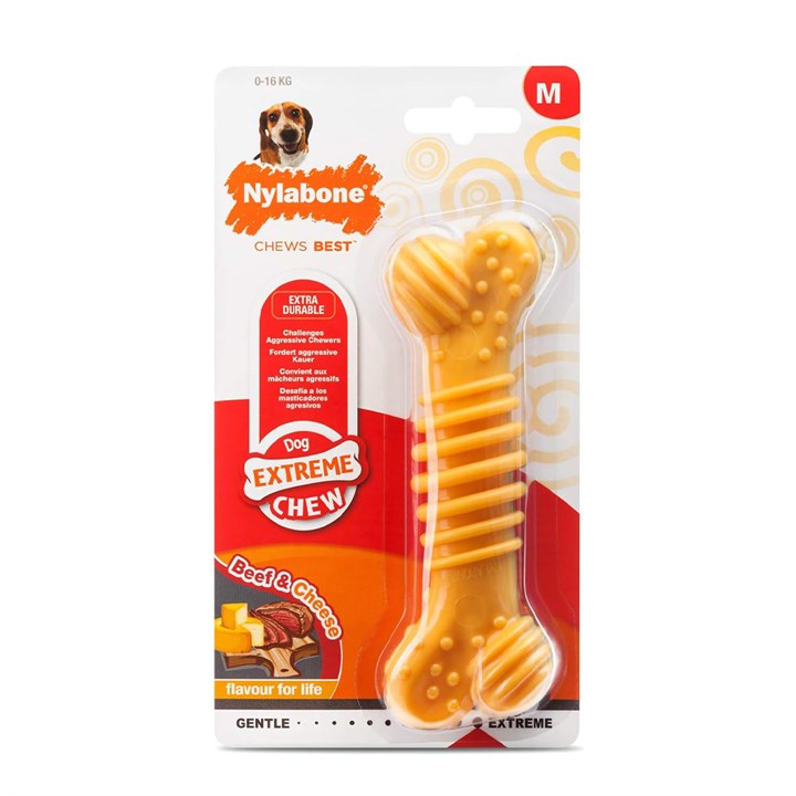 Nylabone Extreme Chew Text Bone Beef Cheese Dog Toy