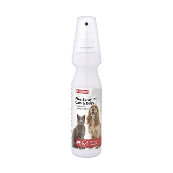 Cat dog flea treatment best sale