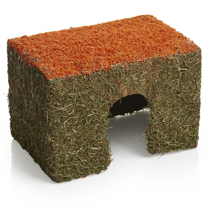 Rosewood Carrot Cottage Small Animal Chew