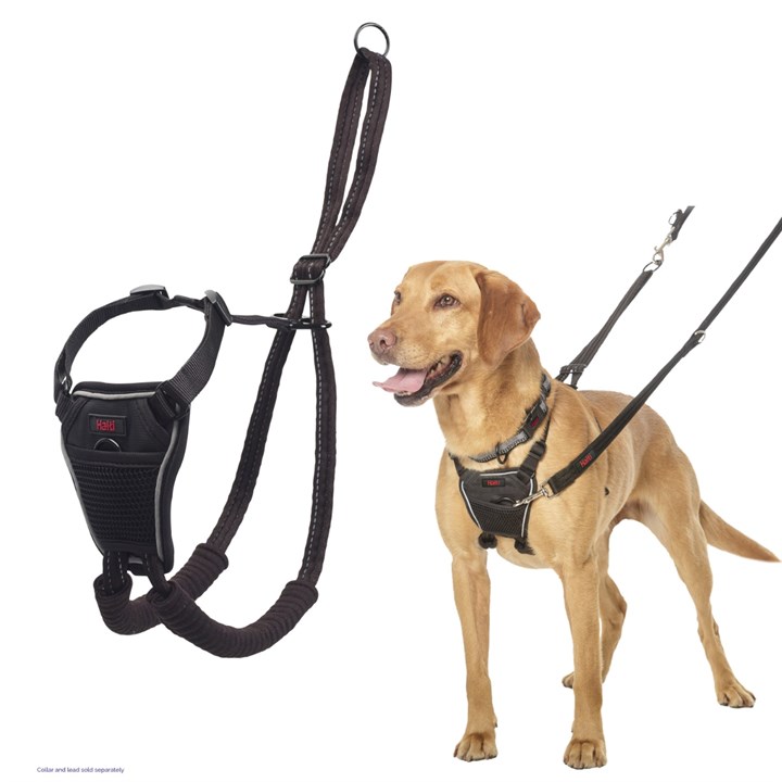 Halti No Pull Dog Harness