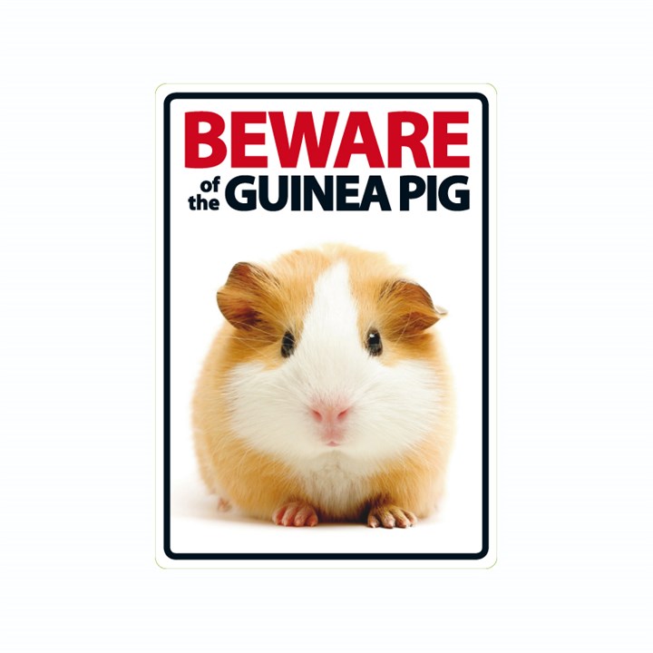 Beware of the Guinea Pig Sign