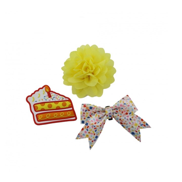 Pawty Sprinkle Dog Cake Accessory Set