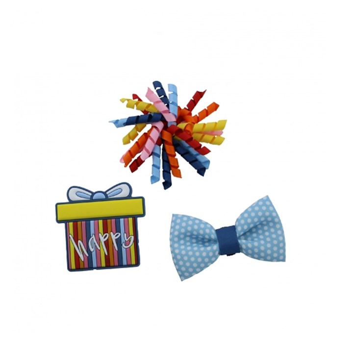 Pawty Stripe Dog Present Accessory Set