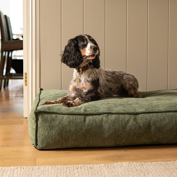 Fantail Mattress Stargaze Mellow Emerald Green Dog Bed