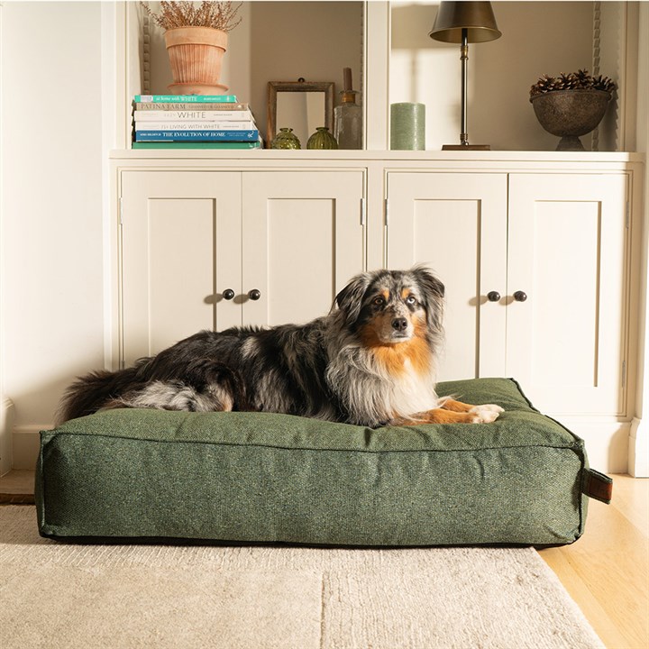 Fantail Mattress Stargaze Origin Botanical Green Dog Bed