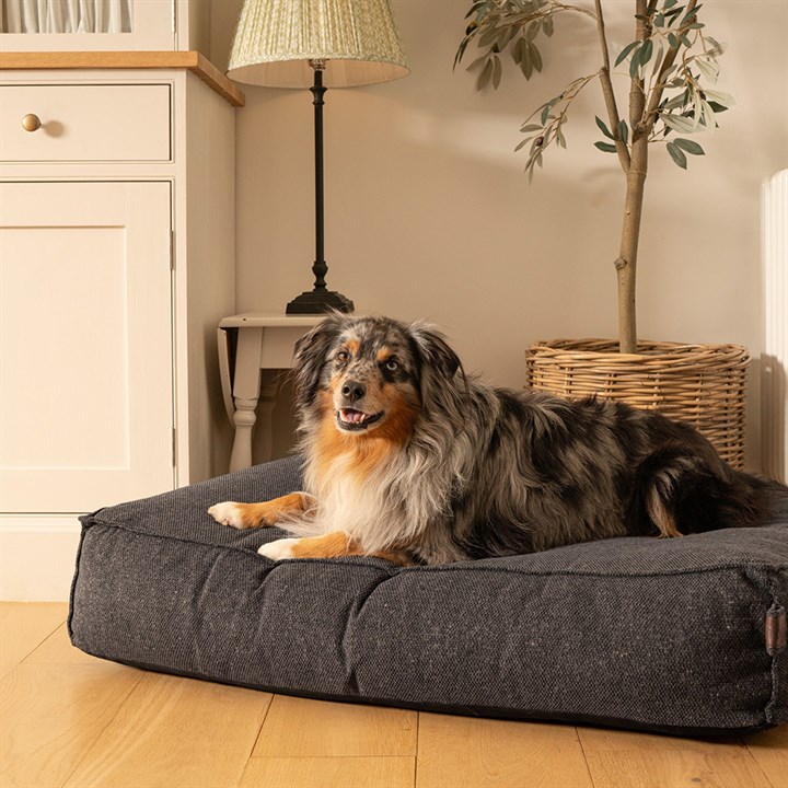 Fantail Mattress Stargaze Origin Epic Grey Dog Bed