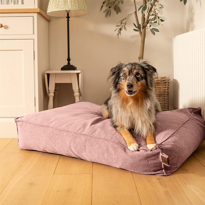 Fantail Mattress Stargaze Origin Iconic Pink Dog Bed