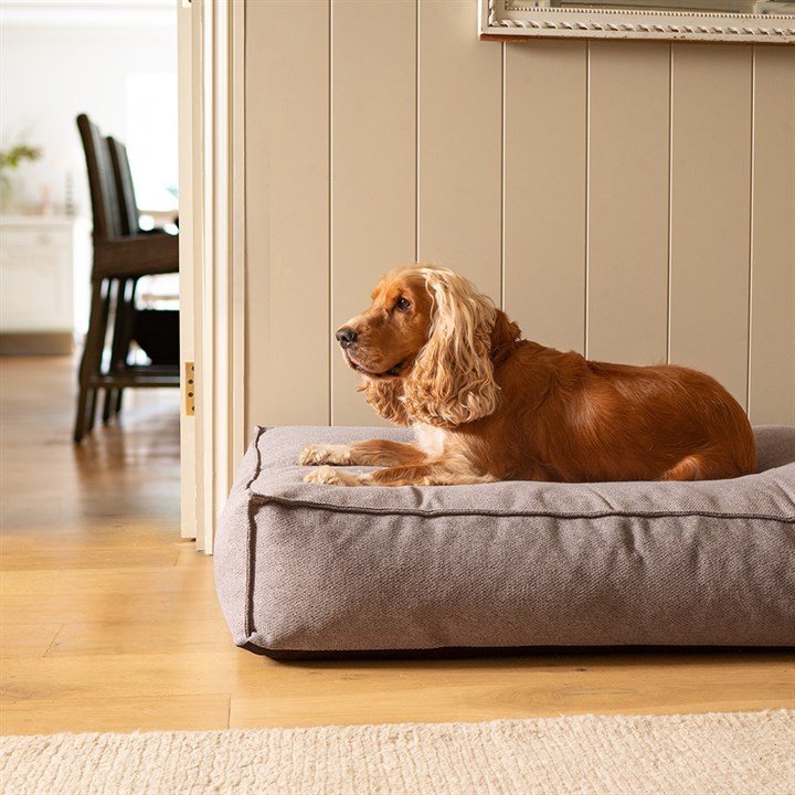 Fantail Mattress Stargaze Origin Nut Grey Dog Bed