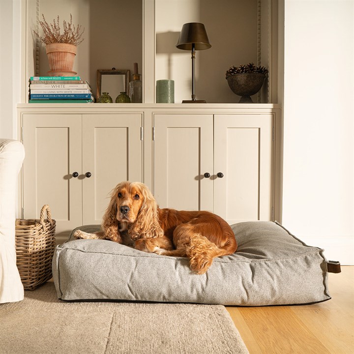 Fantail Mattress Stargaze Origin Silver Spoon Dog Bed