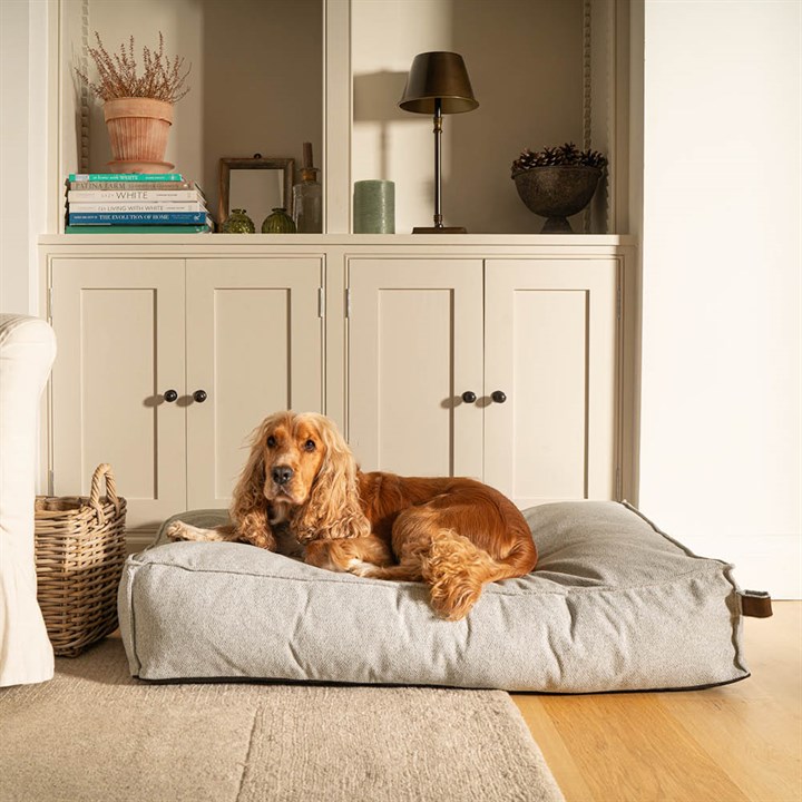 Fantail Mattress Stargaze Origin Silver Spoon Dog Bed