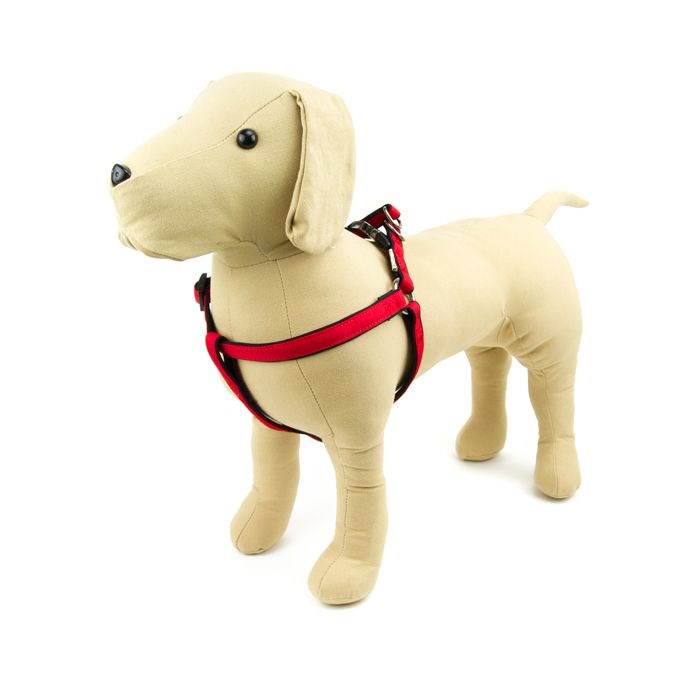 Great & Small Active Neoprene Dog Harness Red
