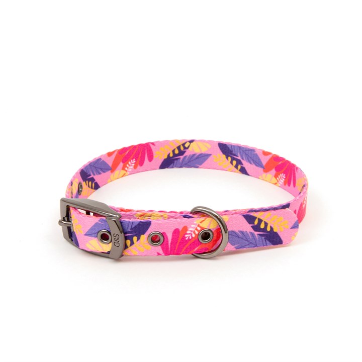 Great & Small Penrose Tropical Dog Collar