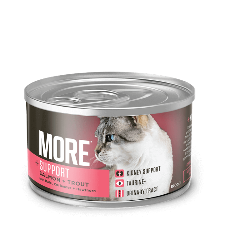 MORE Kidney Support Salmon & Trout Wet Cat Food 190g