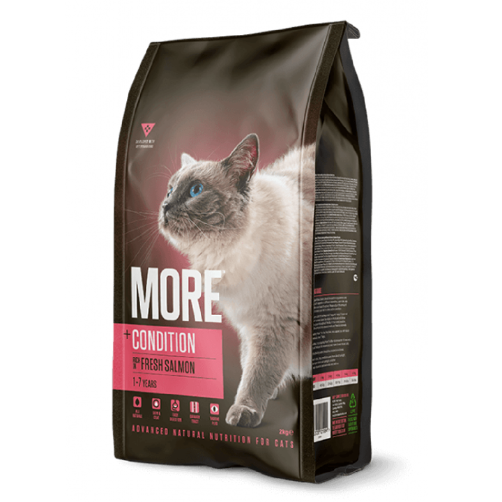 MORE Condition Salmon Adult Cat Dry Food