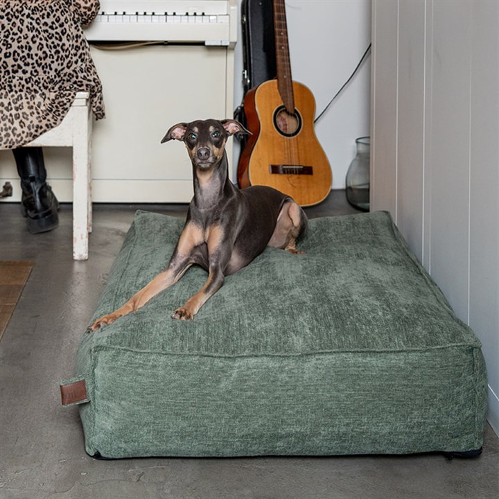 Fantail Mattress Stargaze Mellow Emerald Green Dog Bed