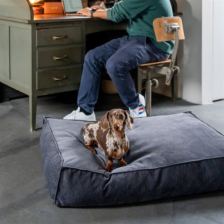 Fantail Mattress Stargaze Mellow Smoke Grey Dog Bed