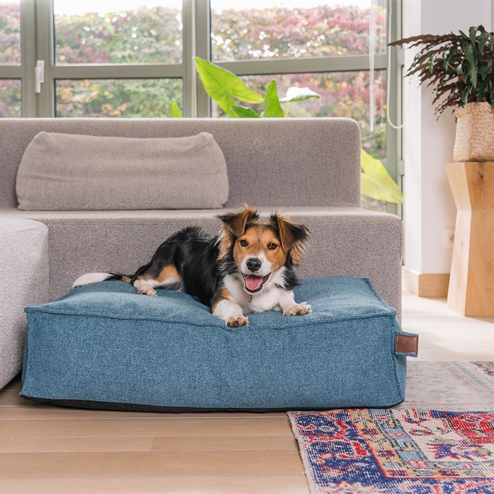 Fantail Mattress Stargaze Origin Cosmic Blue Dog Bed