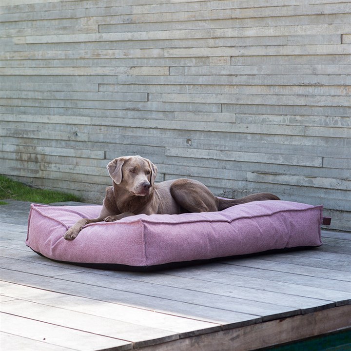 Fantail Mattress Stargaze Origin Iconic Pink Dog Bed