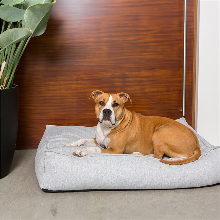 Fantail Mattress Stargaze Origin Silver Spoon Dog Bed