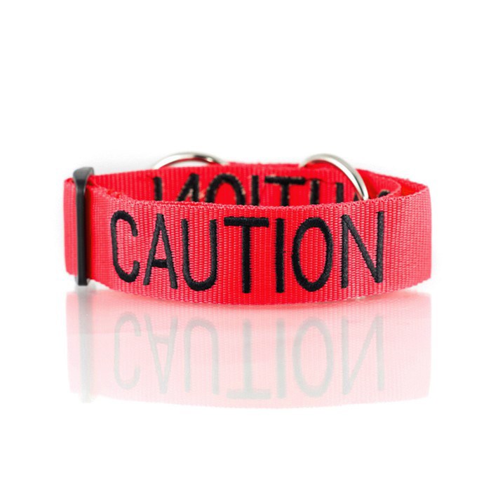 Caution dog lead hotsell