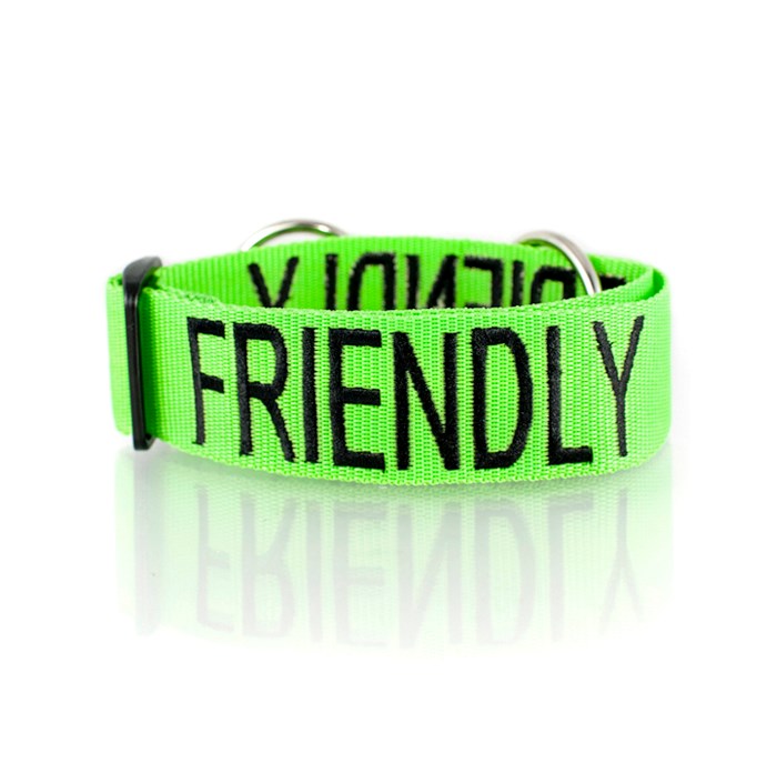 Dexil FRIENDLY Awareness Collar Pets Corner