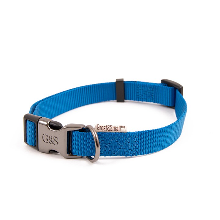 Great & Small Classic Plain Dog Collar Blue