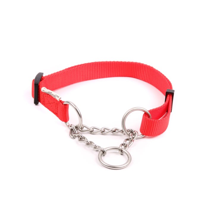 Great & Small Classic Combi Dog Collar Red