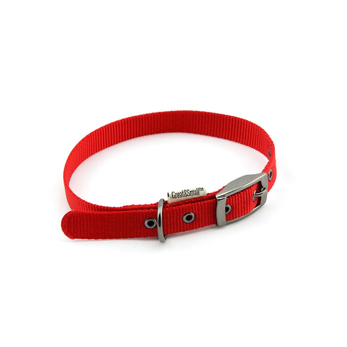 Great Small Classic Buckle Pet Collar Red Pets Corner