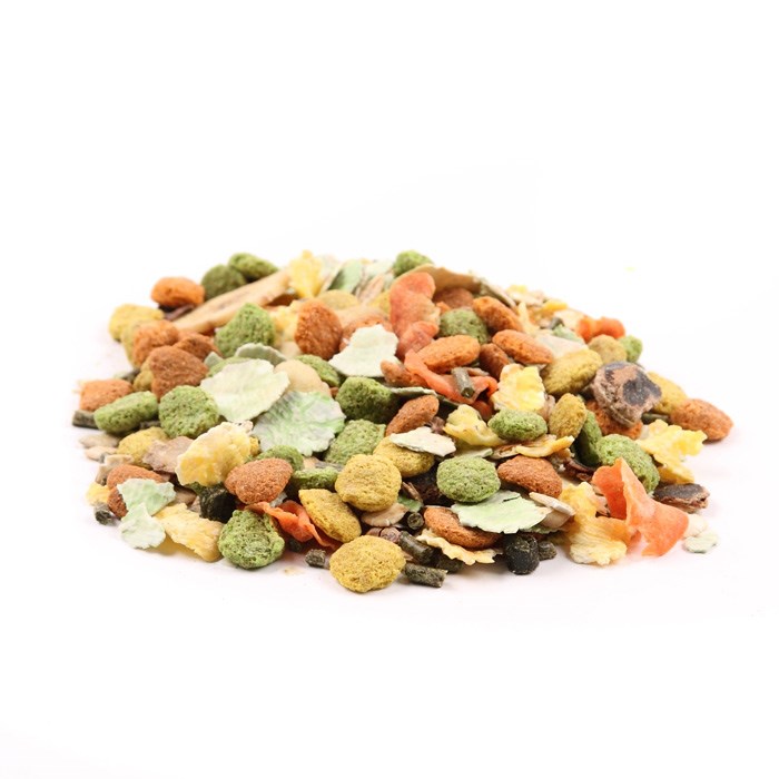 Dried fruit for rabbits best sale