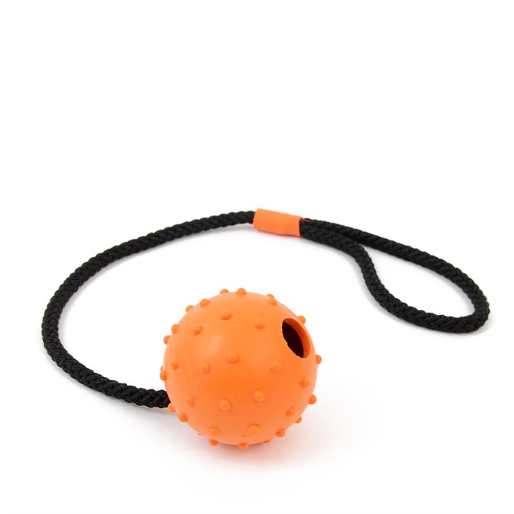 Great & Small 99% Natural Rubber Ball with Rope Dog Toy