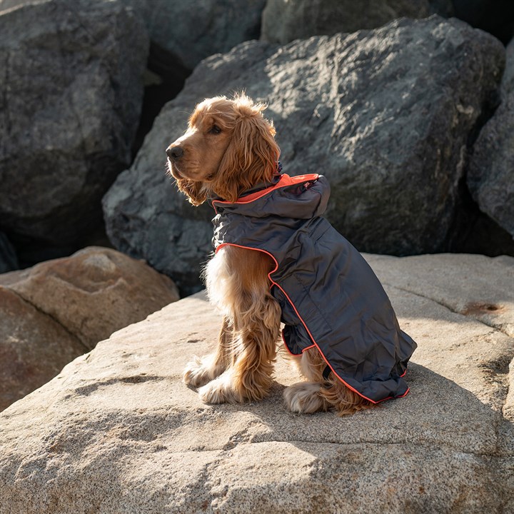 Great & Small Active Foldaway Dog Rain Coat