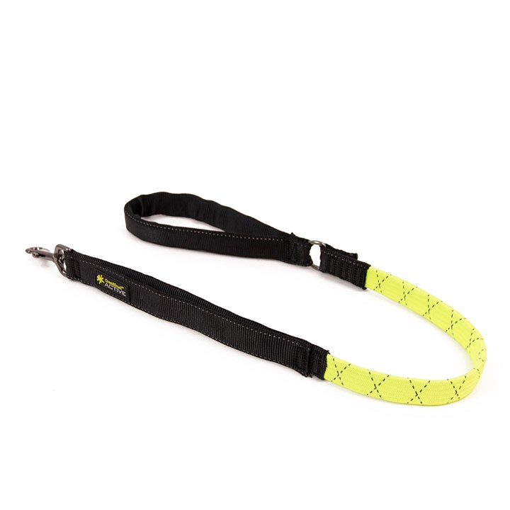 Great & Small Active Shock Absorbing Dog Lead