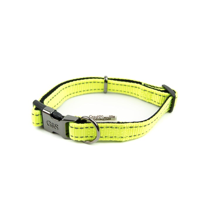 Great & Small Glow Hi-Vis Dog Collar Yellow