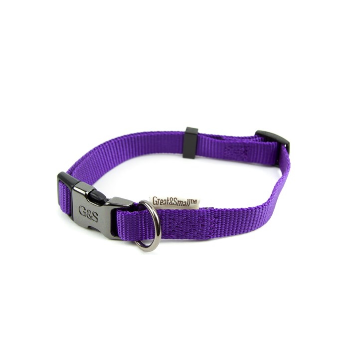 Great & Small Classic Plain Dog Collar Purple