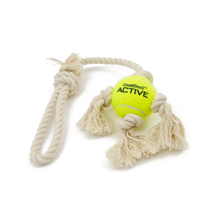 Great & Small Tennis Ball on Rope Tug Dog Toy