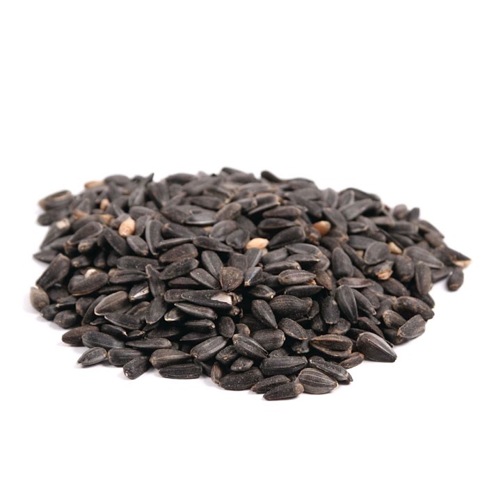 Great & Small Black Sunflower Seeds