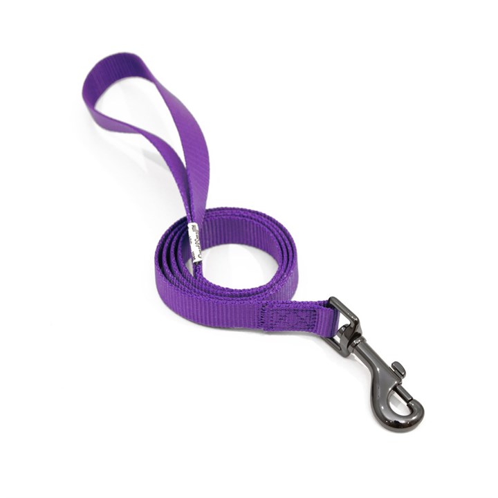 Great & Small Classic Plain Dog Lead Purple