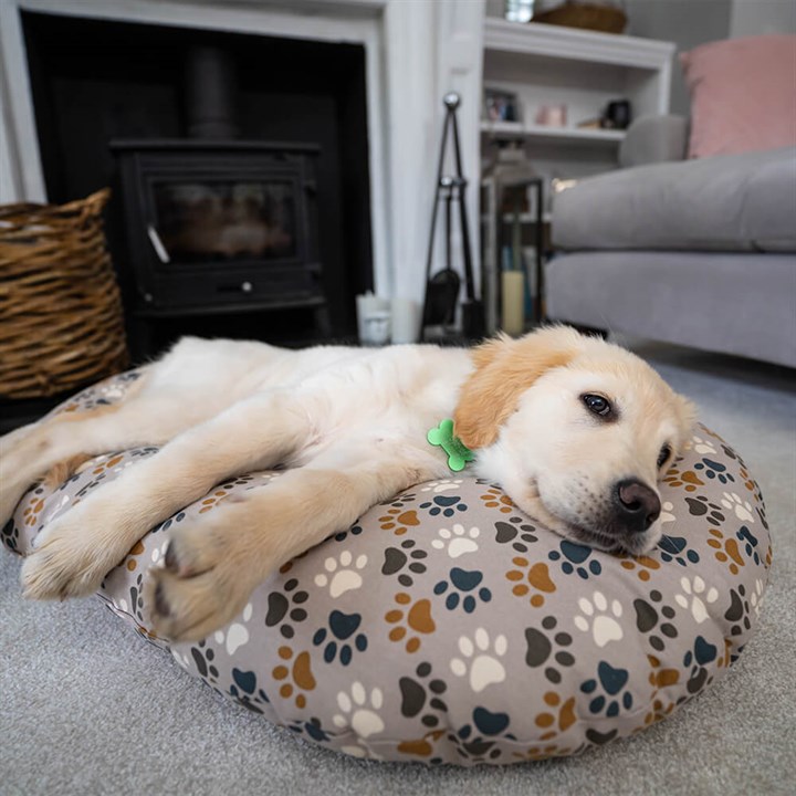 Great & Small Camo Paw Mattress Dog Bed