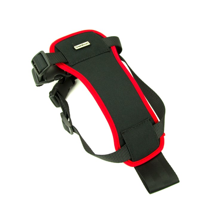 Great & Small Dog Car Harness