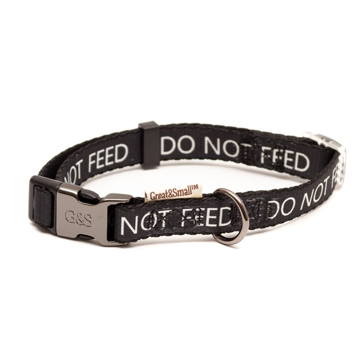 Great & Small Classic Do Not Feed Dog Collar Black