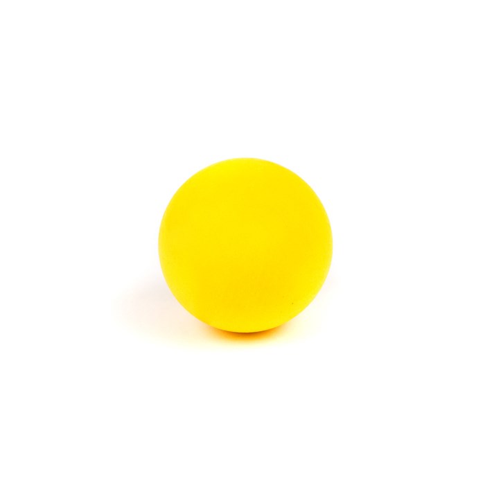 Great & Small Clean Catch Antibacterial Ball Dog Toy