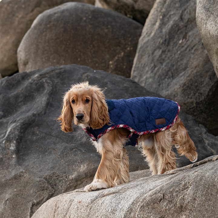 Great & Small Country Quilted Dog Coat Plaid/Navy