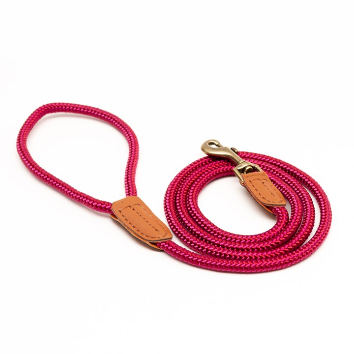 Great & Small Country Rope Trigger Dog Lead Red