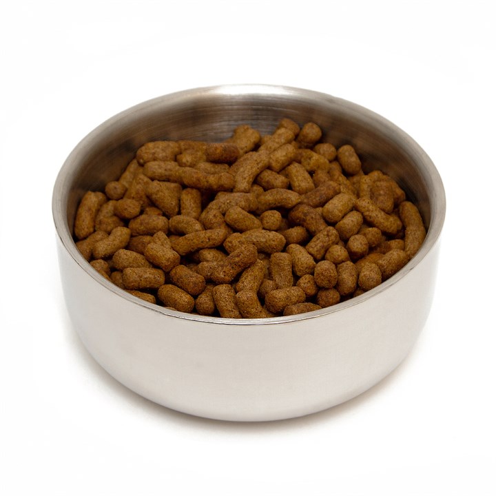 Great & Small Double Walled Stainless Steel Pet Bowl