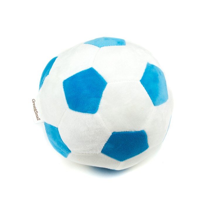 Great & Small Football Various Colours Dog Toy