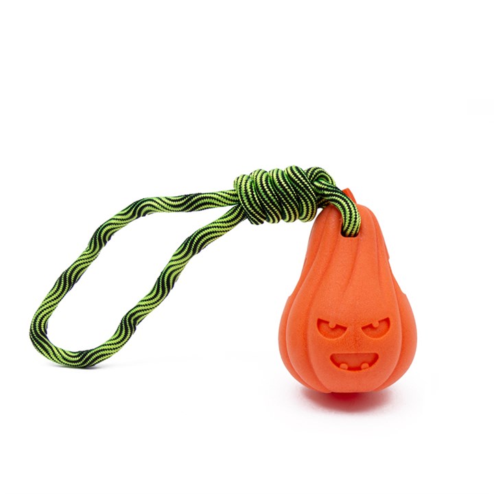 Great & Small Frubba Pumpkin Dog Toy