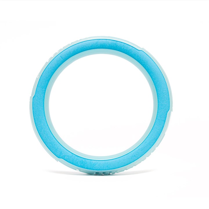 Great & Small Glow in the Dark Glow Ring Dog Toy