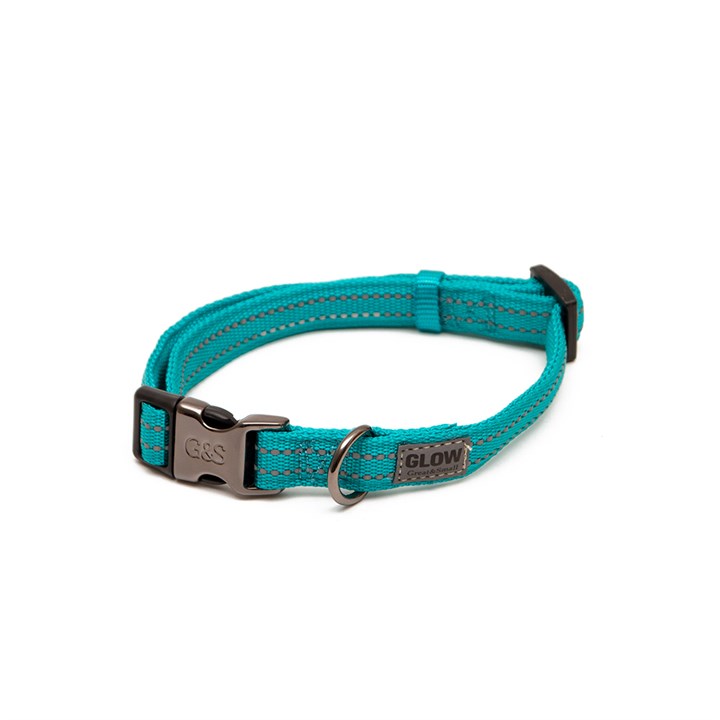 Great & Small Glow Dog Collar Turquoise